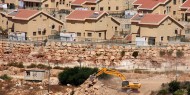 في يوم الأرض.. معطيات استيطانية صادمة