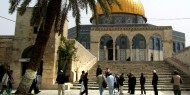 مستعمرون يقتحمون المسجد الأقصى