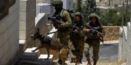 القدس: الاحتلال يواصل حملته الواسعة في مخيم شعفاط لليوم الثالث