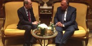 شكري والصفدي: حل القضية الفلسطينية سيغير خريطة المنطقة بشكل جوهري