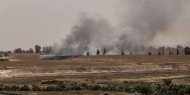 حريق يأتي على آلاف الدونمات في الأغوار الشمالية