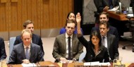 "الفيتو" ضد القضية الفلسطينية ثابت من الثوابت الأميركية