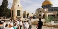 65 مستوطنا يقتحمون الأقصى والاحتلال يعتقل مقدسيين