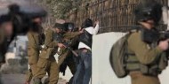 الاحتلال يعتقل 3 أشقاء جنوب جنين