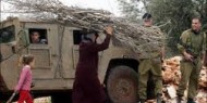 الجامعة العربية تشيد بكفاح المرأة الفلسطينية والنساء المقدسيات اللواتي يتعرضن إلى تطهير عرقي