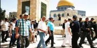 مئات المستوطنين يستبيحون الأقصى ويؤدون طقوسا تلمودية في ساحة البراق