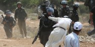 مستوطنون يجرفون مئات الدونمات بقرية أم صفا