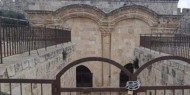 الخارجية الأردنية تدين إغلاق أبواب المسجد الأقصى المبارك