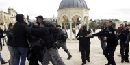 المفتي: الاعتداءات على المسجد الأقصى لم تتوقف وتكاد تكون يومية