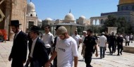 78 مستوطنا وطالبا تلموديا يقتحمون المسجد "الأقصى"