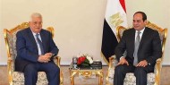 السيسي: الموقف المصري ثابت بحل الدولتين