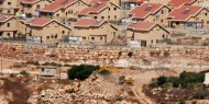 المصادقة على بناء مئات الوحدات الاستيطانية بمستوطنة" بيتار عيليت" غرب بيت لحم