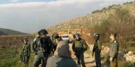 الاحتلال يستولي على شبكة ري في الأغوار الوسطى