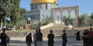 74 مستوطنا يتقدمهم غليك يقتحمون المسجد الأقصى والاحتلال يعتقل شابا من البلدة القديمة