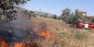 احتراق عشرات الأشجار في جنين