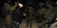 الاحتلال يعتقل 7 مواطنين من القدس
