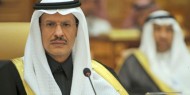 بعد الدفاع والسياحة: نجل آخر للملك سلمان وزيرًا للطاقة