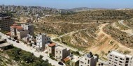 شكارنة: 25% من القضايا المرفوعة أمام المحاكم تتعلق بالخلافات حول ملكية الأراضي