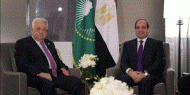 الرئيس يجتمع مع نظيره المصري