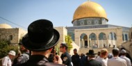 متطرفون يهود يدعون لاقتحام "الأقصى" غدا