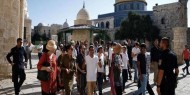 شرطة الاحتلال والمستوطنون يقتحمون "الأقصى"