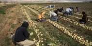 استطلاع: 35% من الإسرائيليين يؤيدون ضم غور الأردن قبل الانتخابات