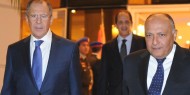 مصر وروسيا تؤكدان مواصلة دعم تحقيق السلام الشامل والعادل للقضية الفلسطينية