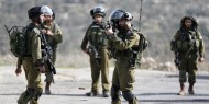 الاحتلال يعتقل طفلين شقيقيين من بيت جالا