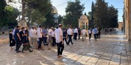 مستعمرون يقتحمون المسجد الأقصى