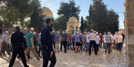 عشرات المستعمرين يقتحمون المسجد "الأقصى"