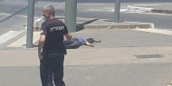 "هآرتس": إسرائيل قتلت 60 فلسطينيا ولم يُعتقل أحد من الجنود