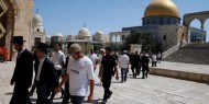 مستعمرون يقتحمون الأقصى والاحتلال ينصب كاميرات مراقبة على السور الغربي