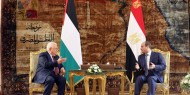 الرئيس يجتمع مع نظيره المصري