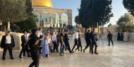 "الرئاسية العليا لشؤون الكنائس" تدعو شعبنا للدفاع عن المسجد الأقصى