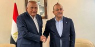 وزير خارجية تركيا يزور مصر السبت لأول مرة منذ عقد