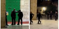 أميركا: دعوات لمسيرات حاشدة في المدن الرئيسية تنديدًا بالعدوان على "الأقصى"