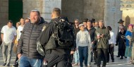 مستوطنون يقتحمون المسجد الأقصى