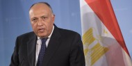 شكري: تشويه موقف مصر بشأن معبر رفح "غير مقبول"
