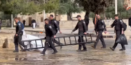 قوات الاحتلال تقتحم المسجد الأقصى