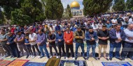 50 ألفًا يؤدون صلاة الجمعة في المسجد الأقصى