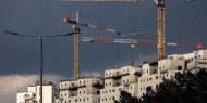 رأفت: المواقف الدولية الرافضة للاستيطان مهمة وتحتاج لتحركات حقيقية على الأرض