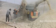 في الأغوار.. مؤشرات لموسم حصاد ضعيف