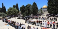 55 ألفا يؤدون الجمعة في المسجد الأقصى المبارك