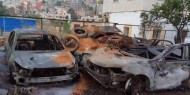 مستوطنون يهاجمون منازل المواطنين ويتلفون محاصيل زراعية جنوب الخليل