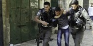 قوات الاحتلال تعتقل 13 مواطنا من مخيم عايدة شمال بيت لحم
