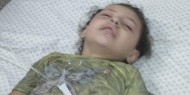 بديوي: الاستهداف الوحشي للمدنيين في غزة ودعوات التهجير القسري تستوجب تدخل فوريا من المجتمع الدولي