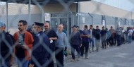 الإحصاء: ارتفاع معدلات البطالة في قطاع غزة والضفة خلال 2025