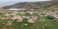 الاحتلال يستولي على 1500 دونم غرب بيت لحم