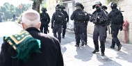 الاحتلال يعتقل مواطنا من نابلس والعشرات من عمال غزة