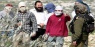 مستوطنون يقطعون أشجار زيتون في قرية بورين